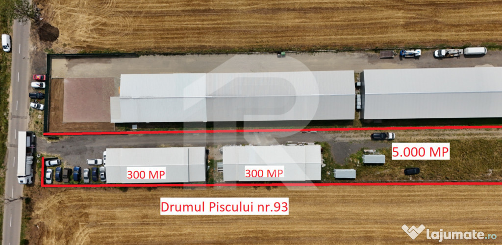 CIOLPANI Lot 5.000 MP