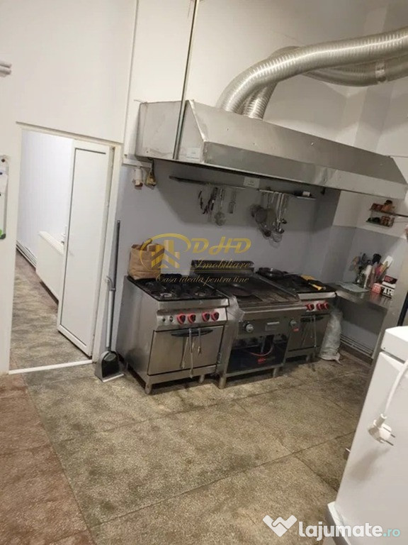 Spatiu comercial Tudor