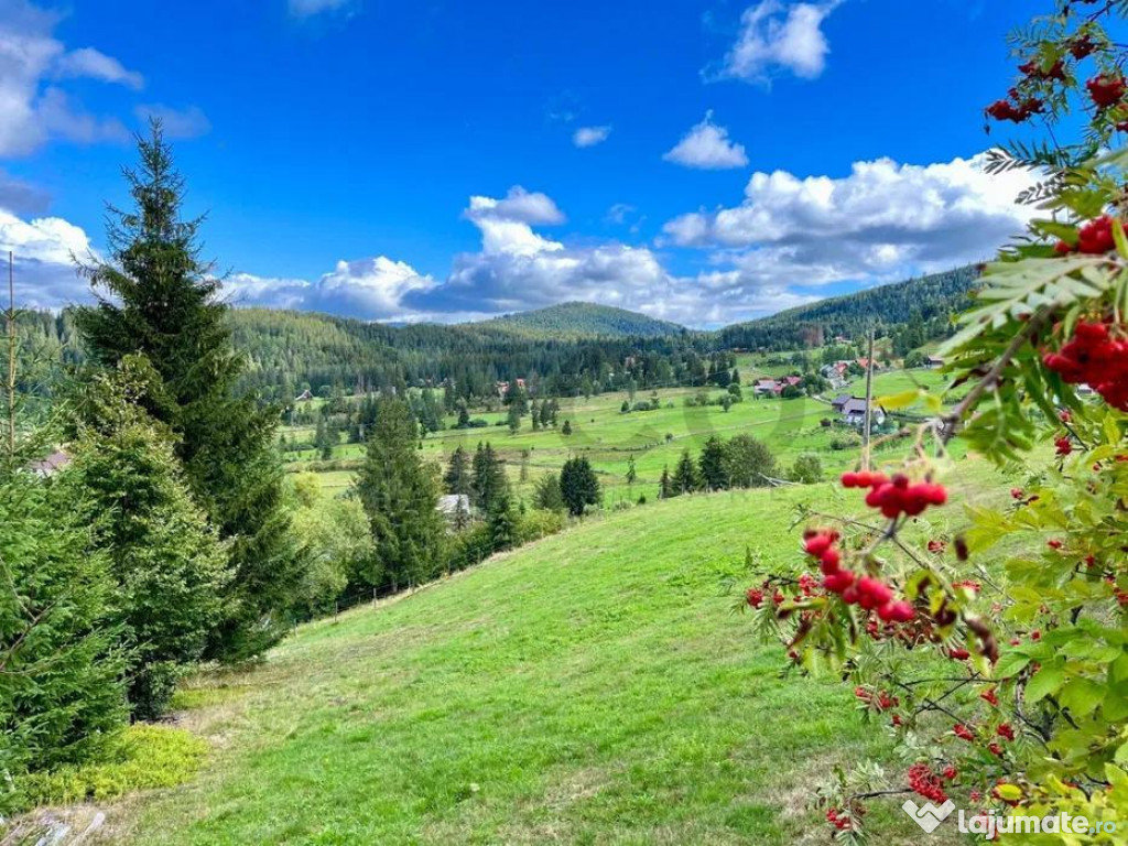 RECO Teren intravilan in Arieseni