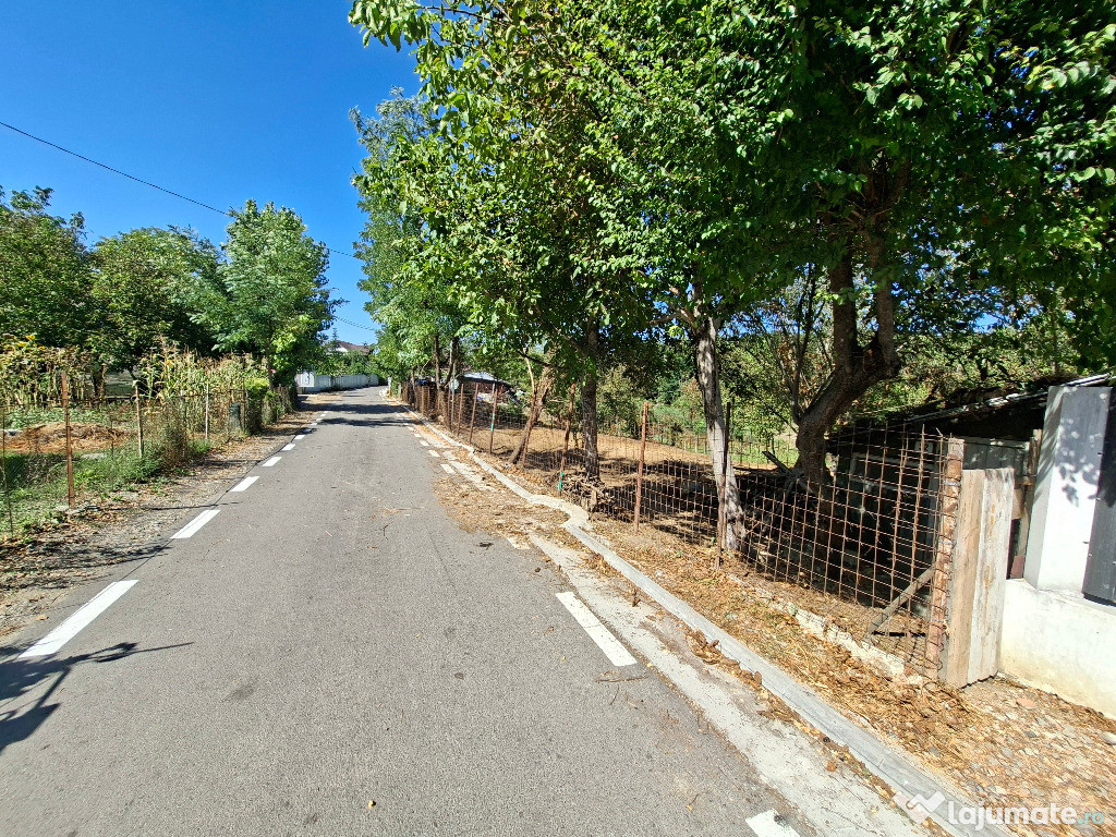 Teren curatat de vegetatie, 1600mp, strada Musat Voda nr. 26-28,