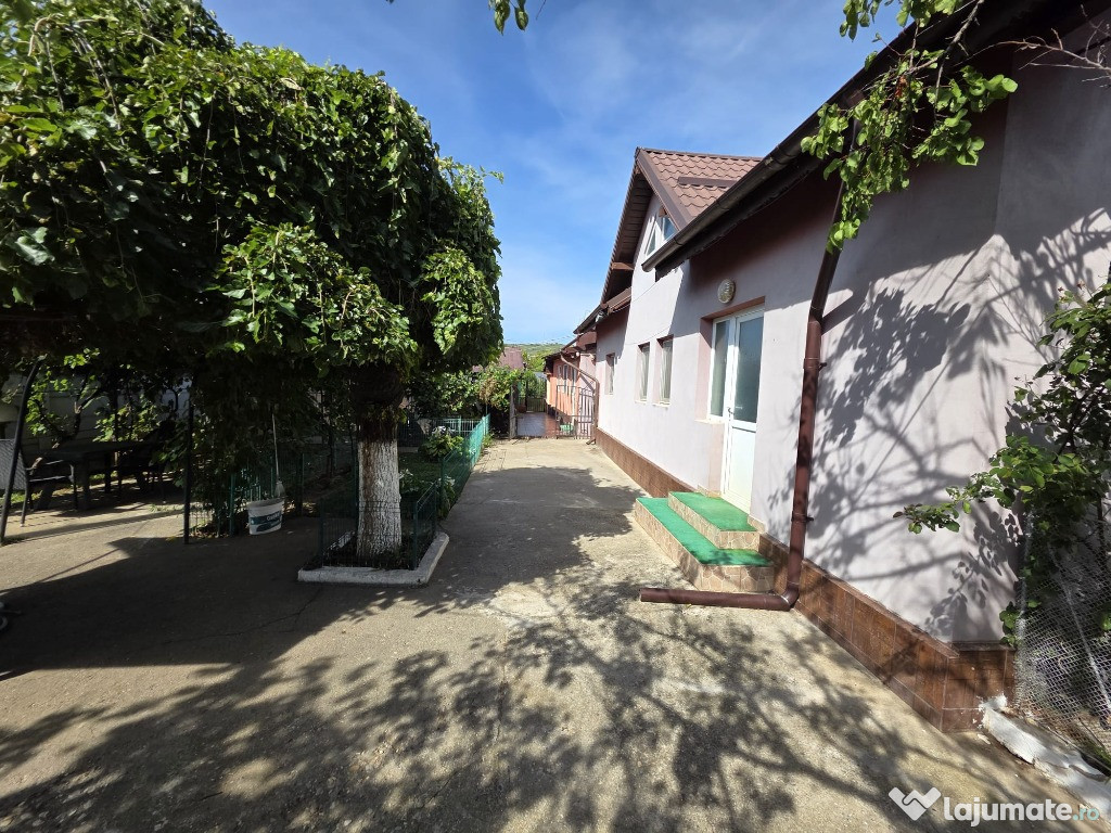 Casa 127 mp + teren 1800 mp, foisor si iaz - Dragasani