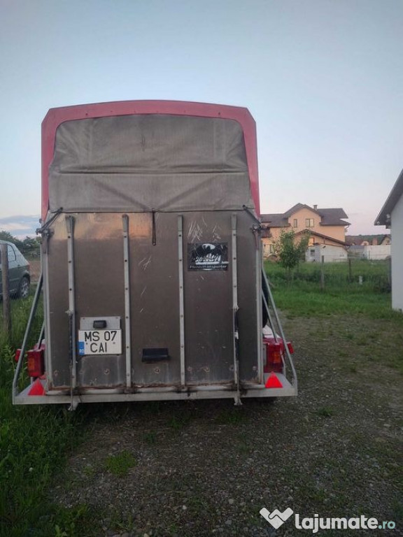 Vand remorca de transport cai.