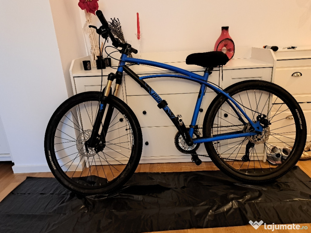 Bicicleta Pegas Drumet designed in Romania - 1000Lei