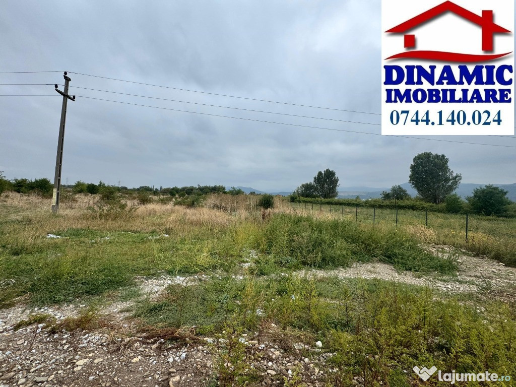 Teren 3600 mp intravilan, Piatra-Neamt, 25 Eur/MP
