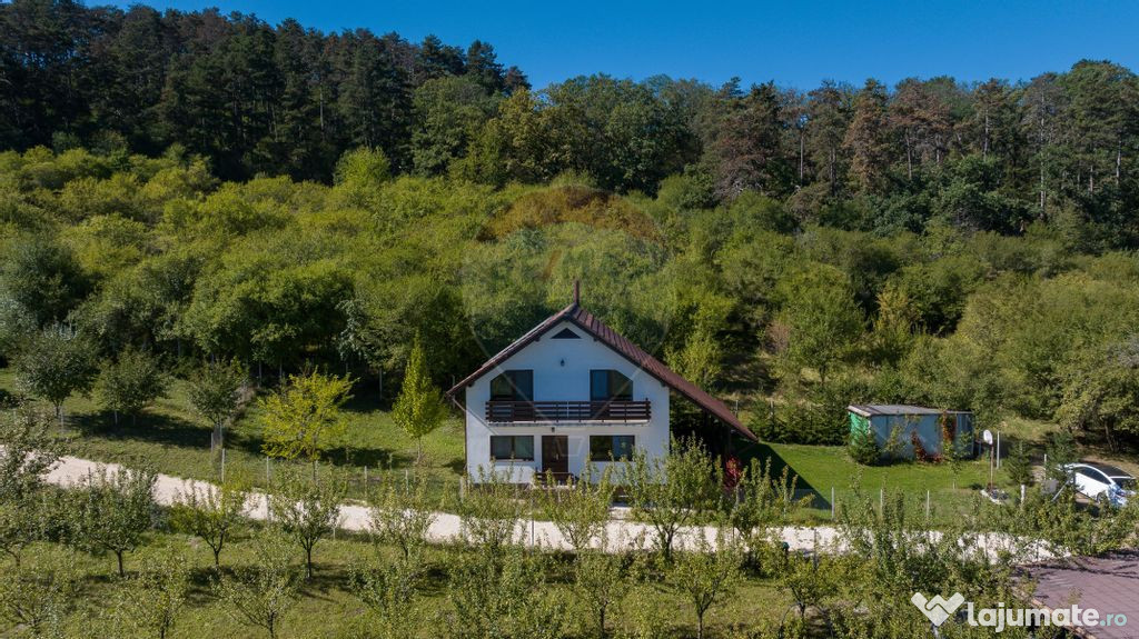 Comision 0%! Vilă modernă, eficientă energetic, în mi...