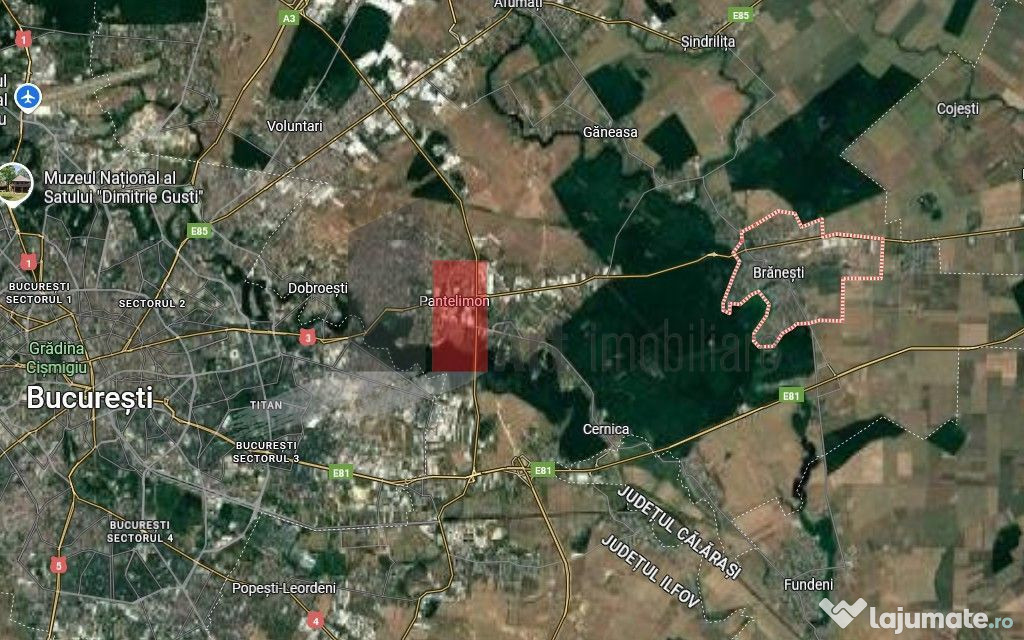Teren intravilan de 802 mp langa padure.