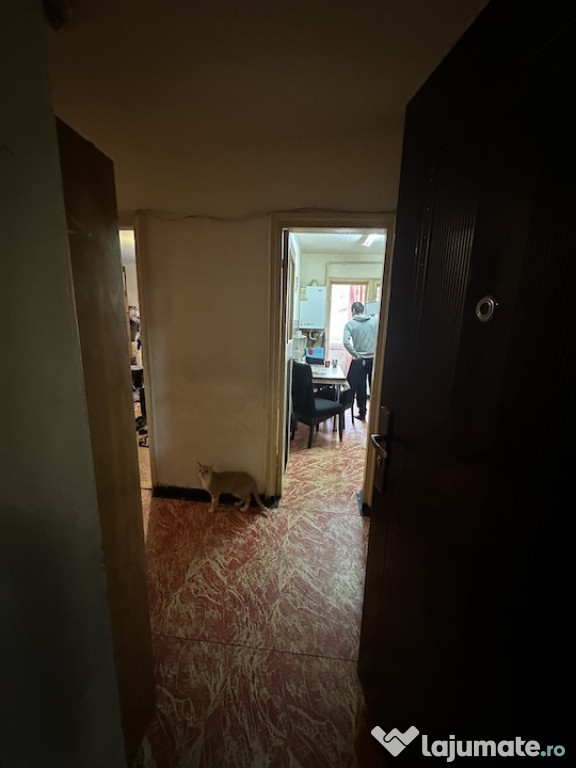 Apartament 2 dormitoare