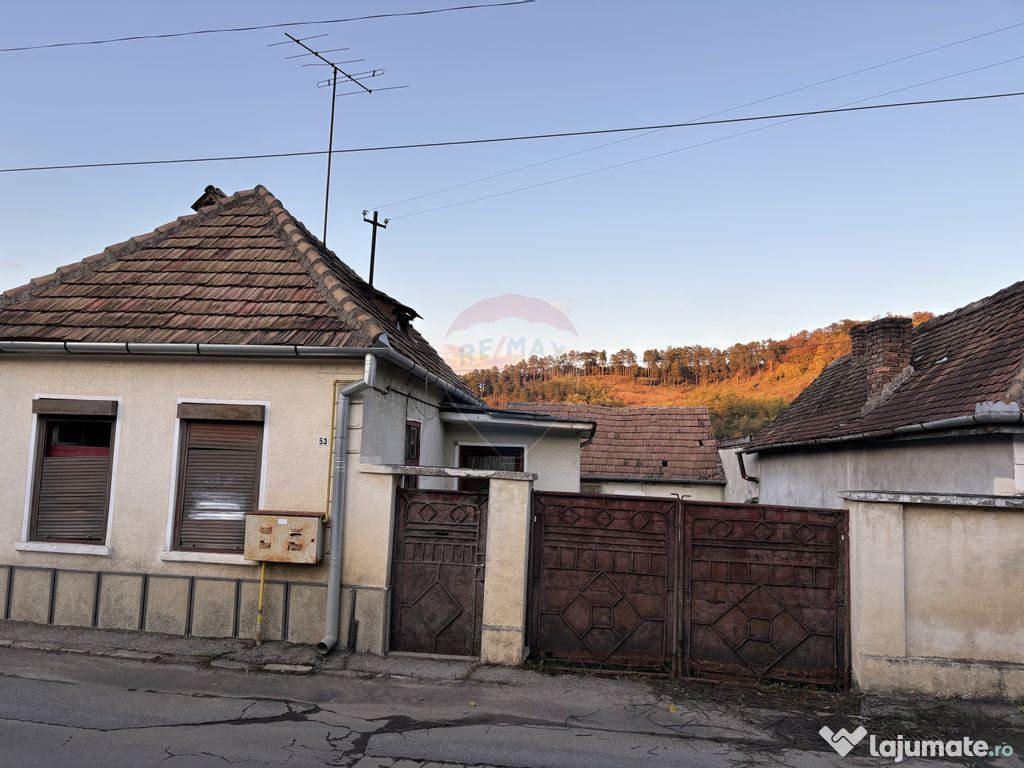 Casă veche cu teren 350mp, zona Mosnei, str. Anton Pann