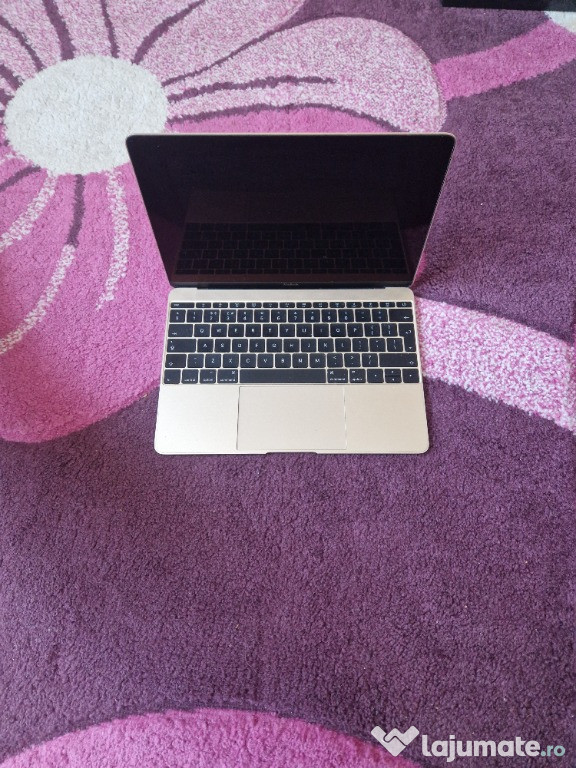 Ecran MacBook A1534 (Retina, 12 inchi)