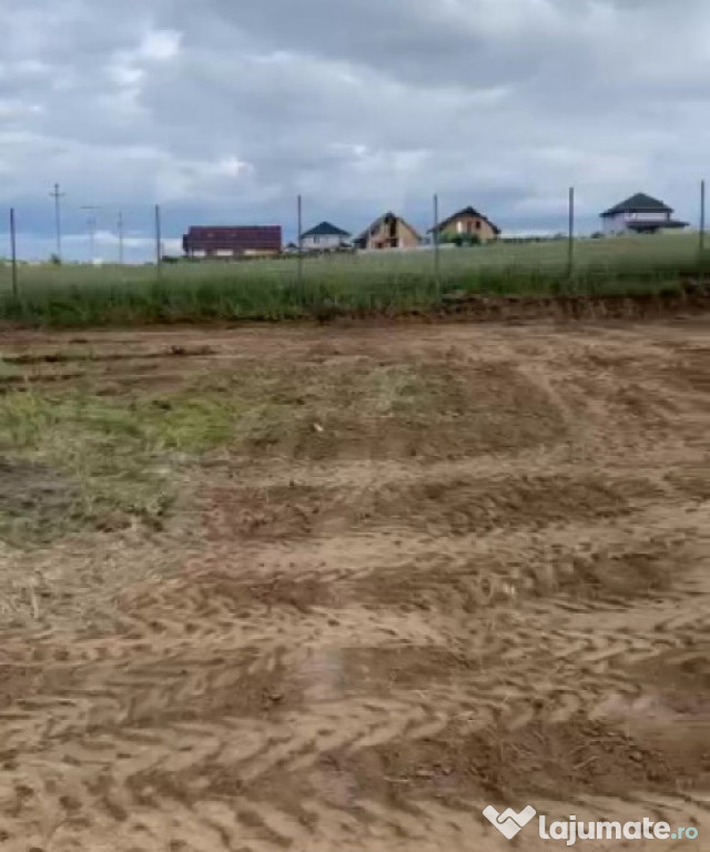 Teren Intravilan 550 mp Bod/Sanpetru
