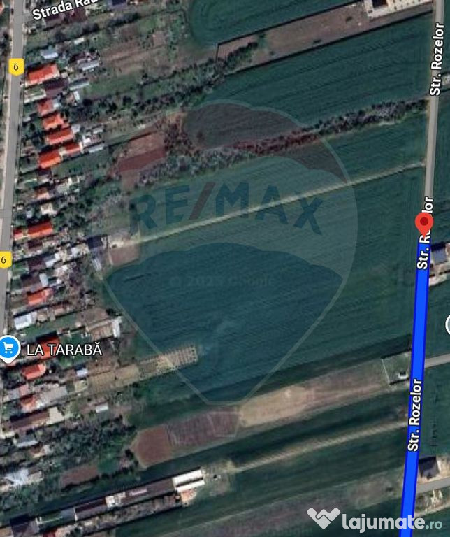 Teren intravilan 3,261mp Balotesti / Strada Rozelor