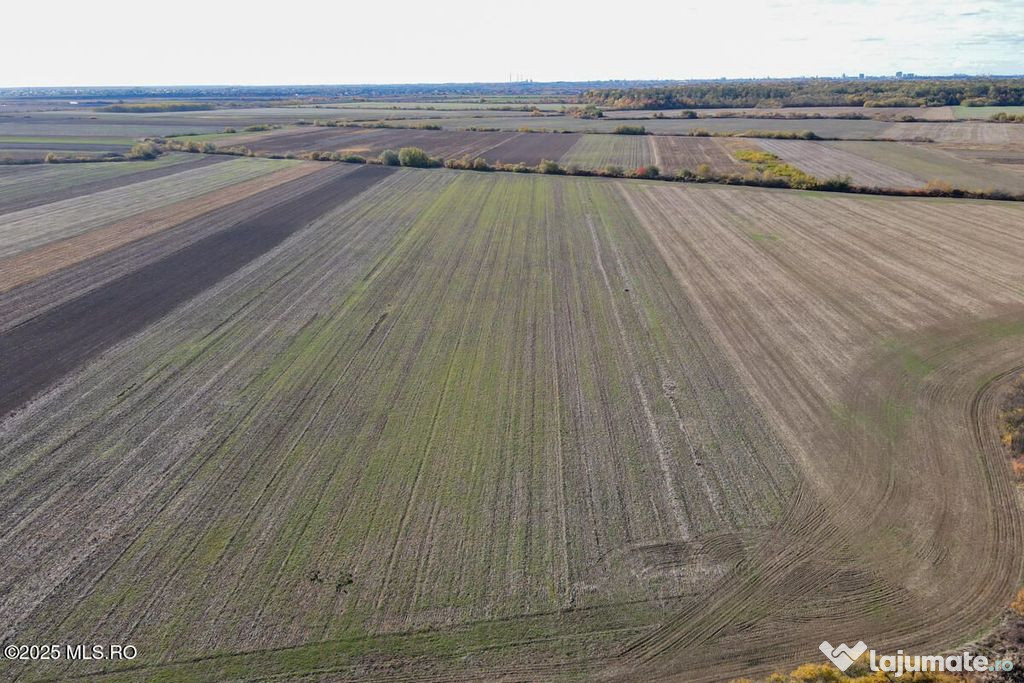 Bucovat - Lot Intravilan 2.27 Ha, PUZ inceput, Rezidentia...