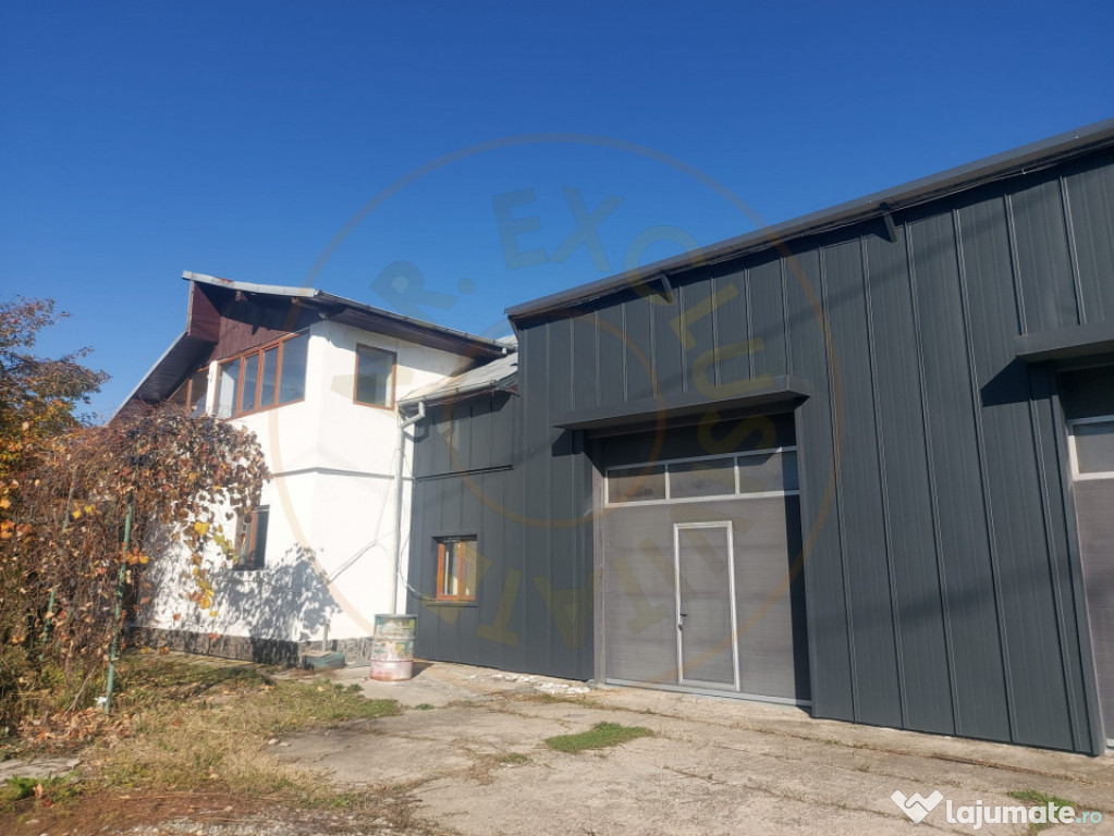 De închiriat: Hale si locuință pe 3 000 mp/ Bascov - Arge