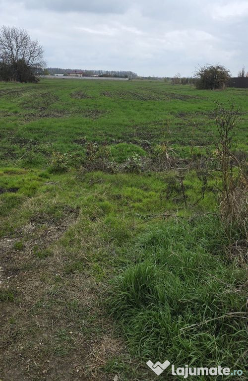 TEREN 2500 MP 1 DECEMBRIE