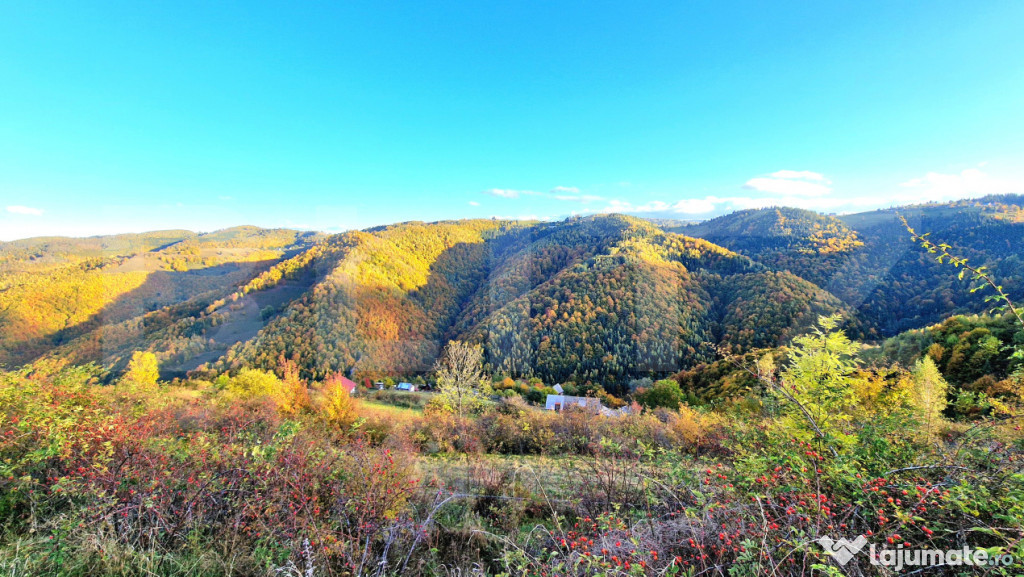 TEREN CU PANORAMA, strada principala, 9959mp, Marisel