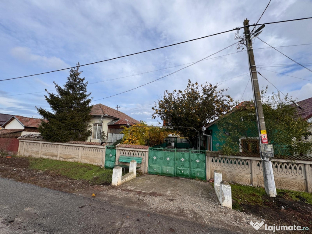 Casa Bistrita Noua, Olt