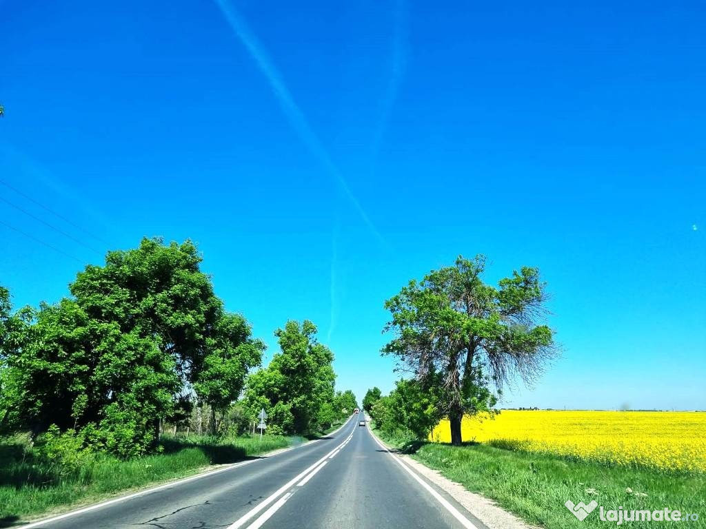 Popesti Frumusani Teren Construibil 560MP