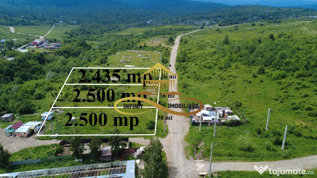 Teren pentru constructie hala indrustriala - Moinesti/Bacau