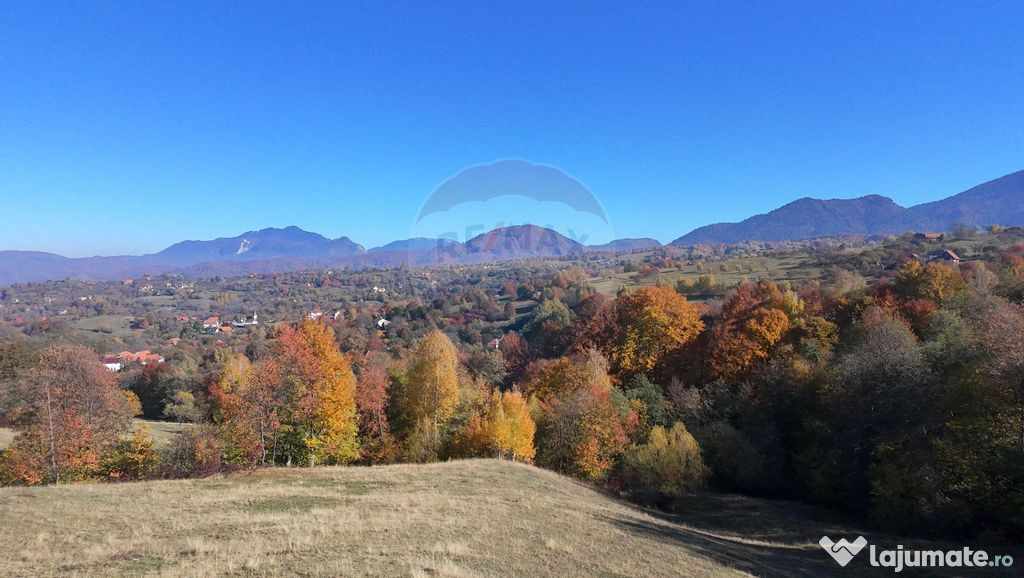 Teren 2,500mp Bran / Strada Bradul Inalt