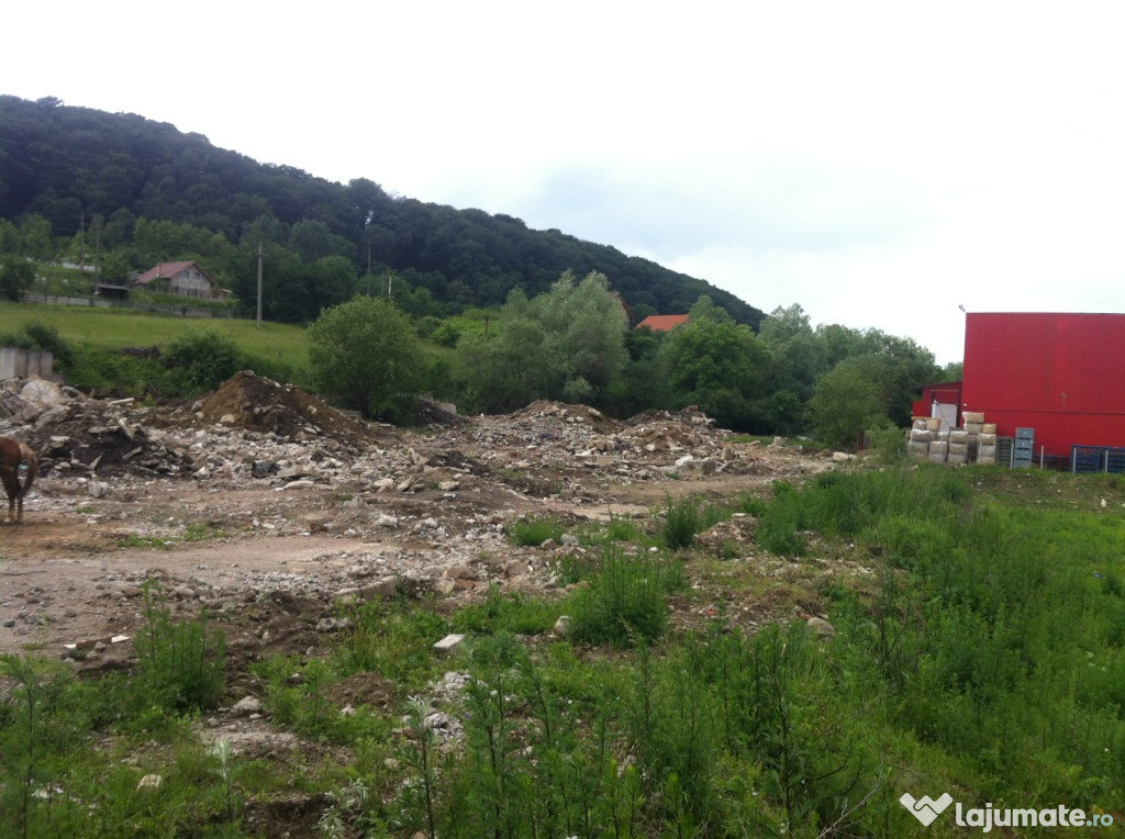 Teren 27020mp Sighisoara, Mures