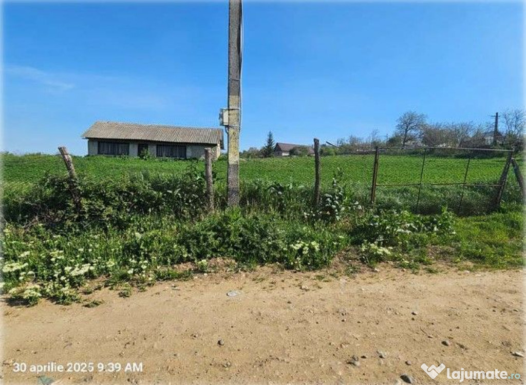 Teren Bradesti, ID: R2805453