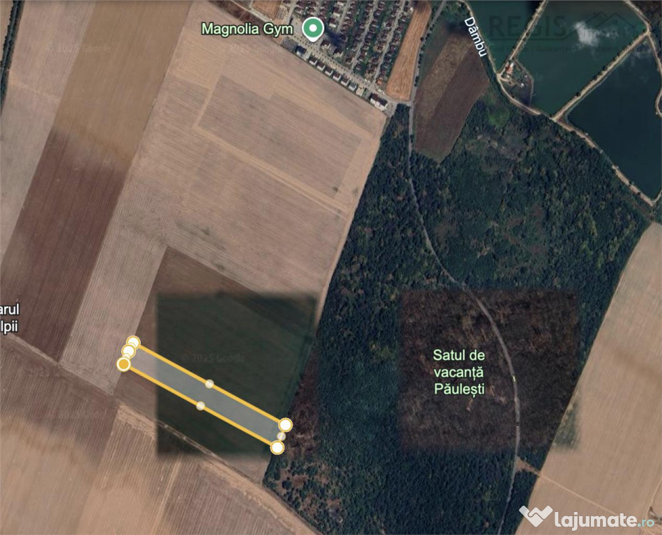 Magnolia Village | Teren 30.000 mp perfect pentru dezvoltare