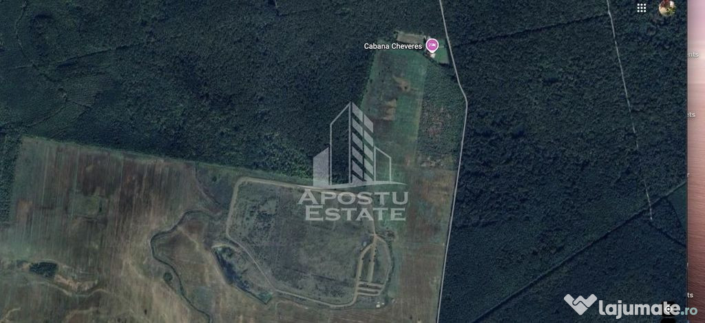 Teren 27000 mp, ideal centru seniori,liziera padurii, Che...