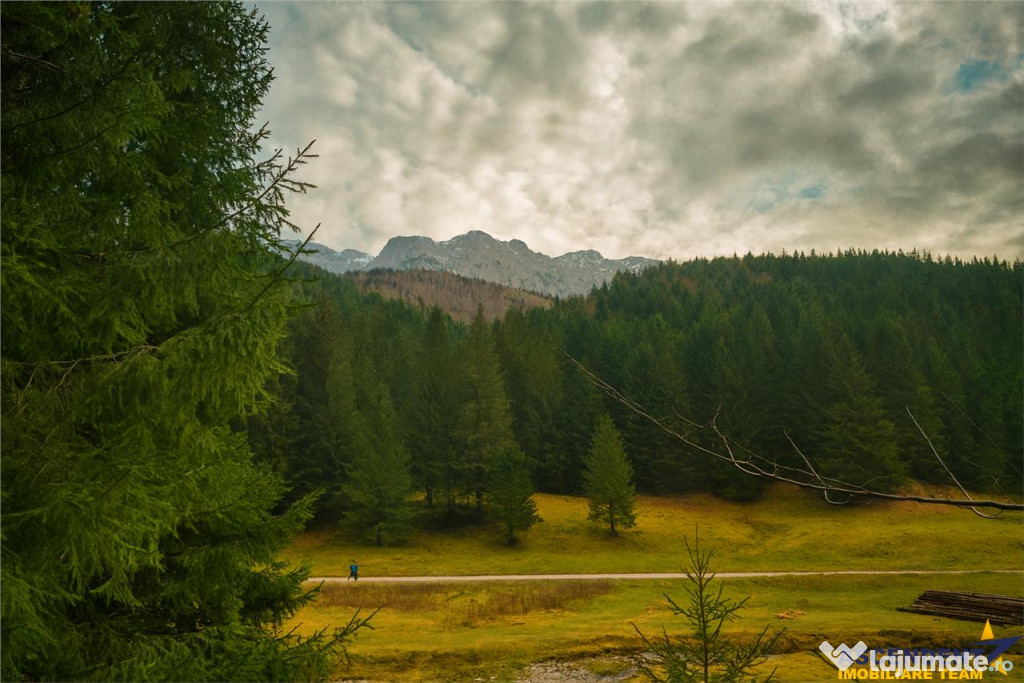 Teren intravilan panoramic 4.600mp,view iconic Piatra Craiul