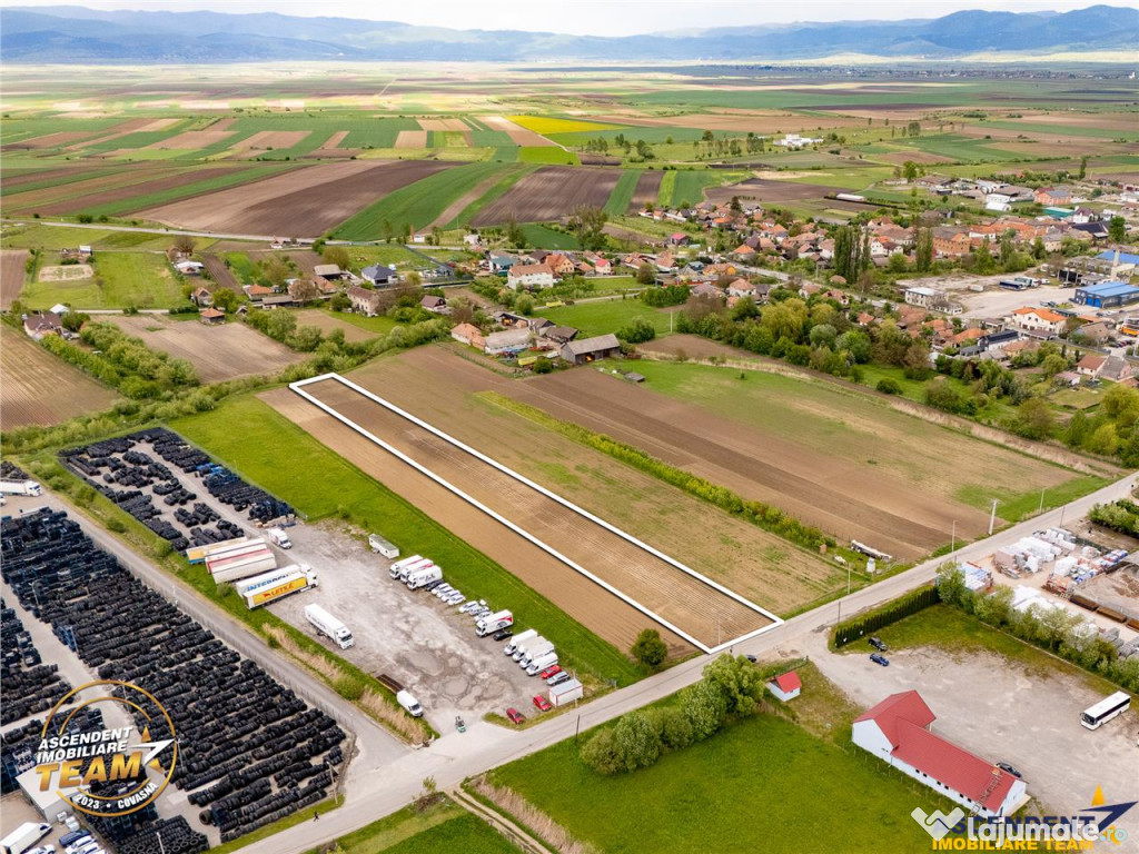 FILM! 5.000 mp teren, la marginea orasului Targu Secuiesc, a