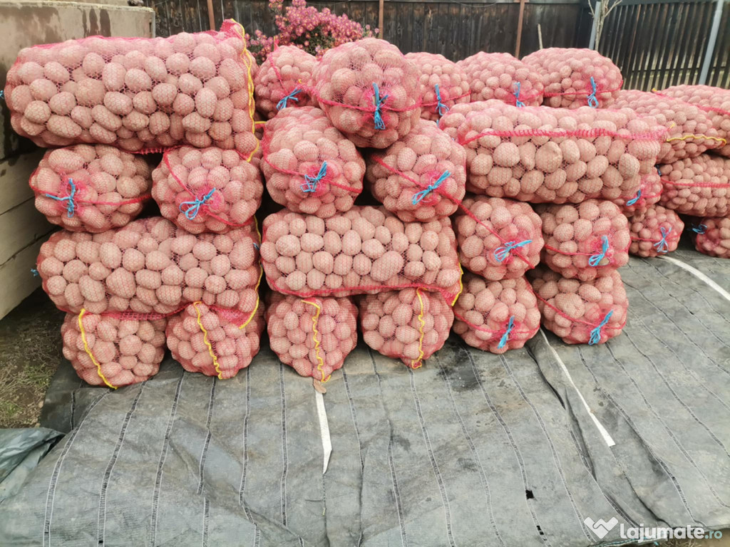 Cartofi consum roșu