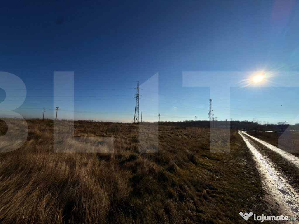 Teren extravilan, 7.000 mp, cu deschidere la drumul principa