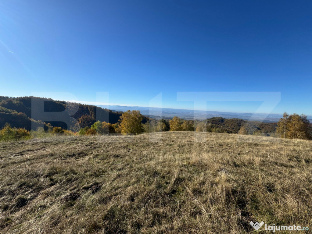 Teren extravilan 54.722 mp in Târsa