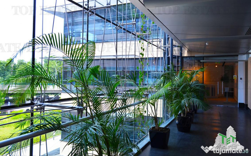 Spatiu de Birouri de 543 mp in Zona Baneasa