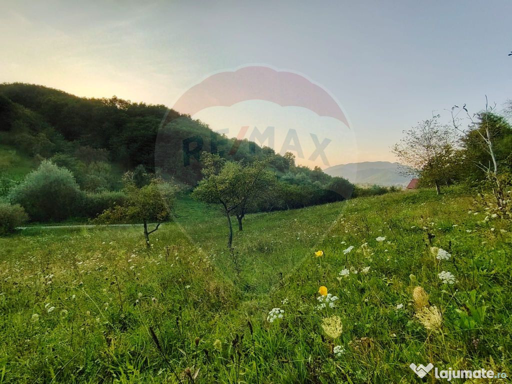 EXCLUSIVITATE! Teren 2339 mp in Barsana - Comision 0%!