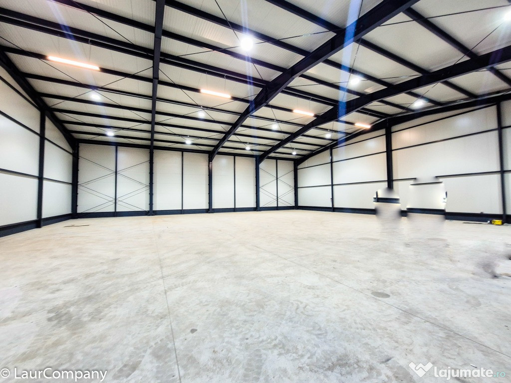 Spatiu Industrial Hala Pitesti