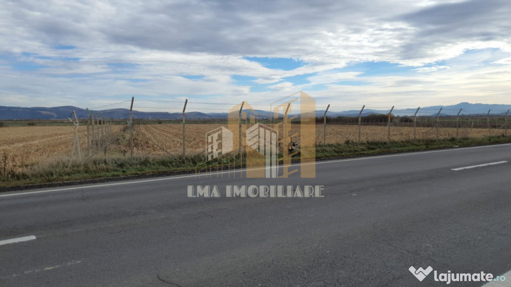 Teren intravilan industrial DN 13 Calea Feldioarei Brasov