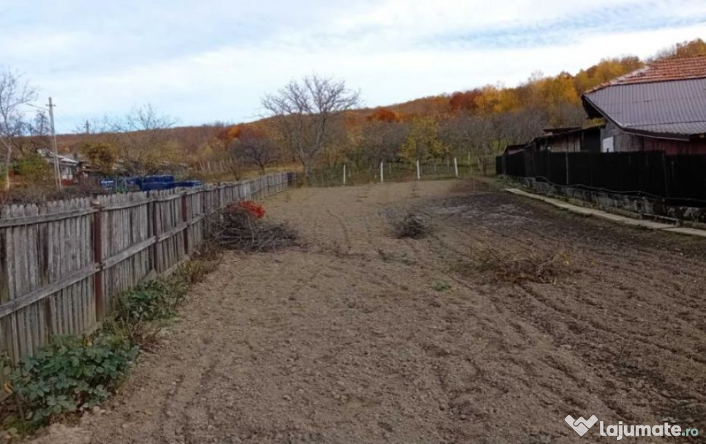 Teren intravilan- Com. Calinesti, jud. Arges