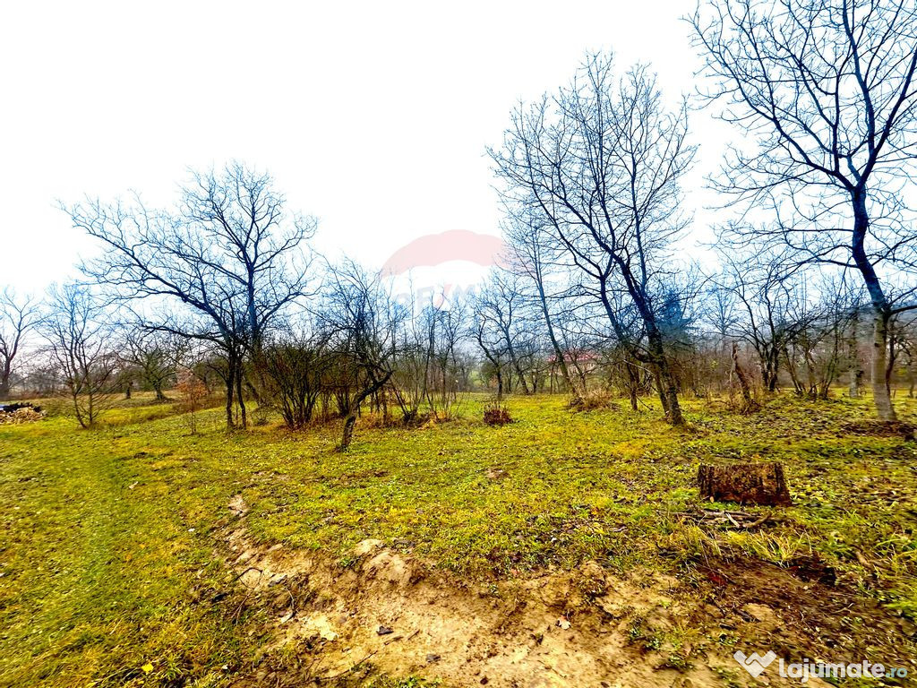 DE VANZARE LOCATIE SUPERBA