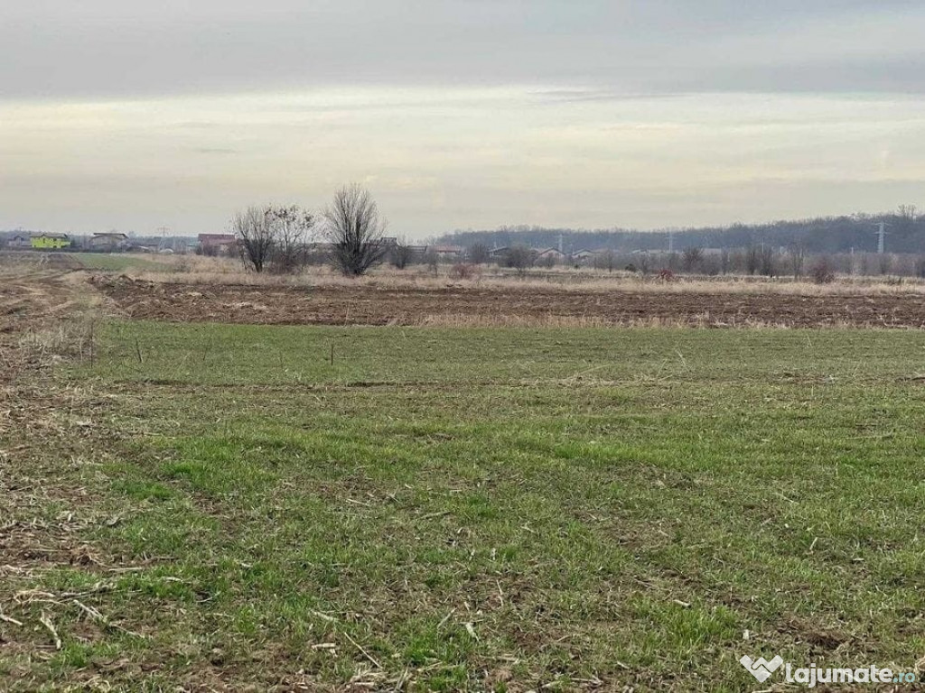 Teren extravilan Gulia Dambovita