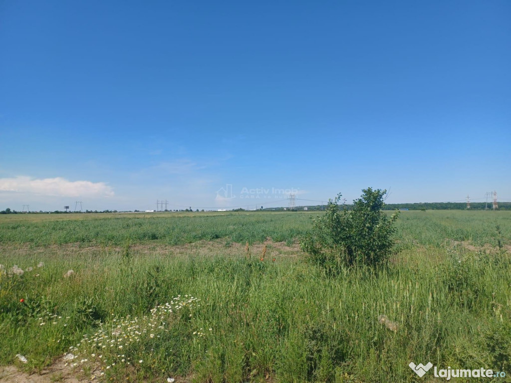 Teren strada Viitorului- Ciorogarla