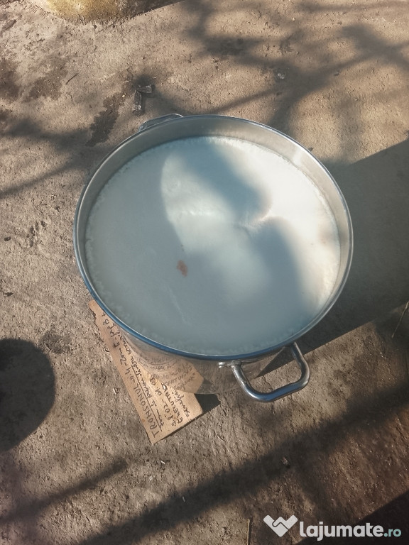 Vând untura de porc