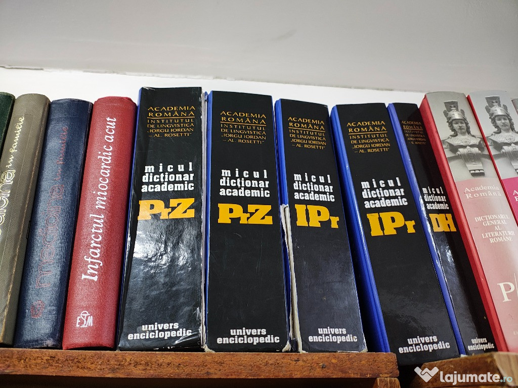 Micul dictionar academic