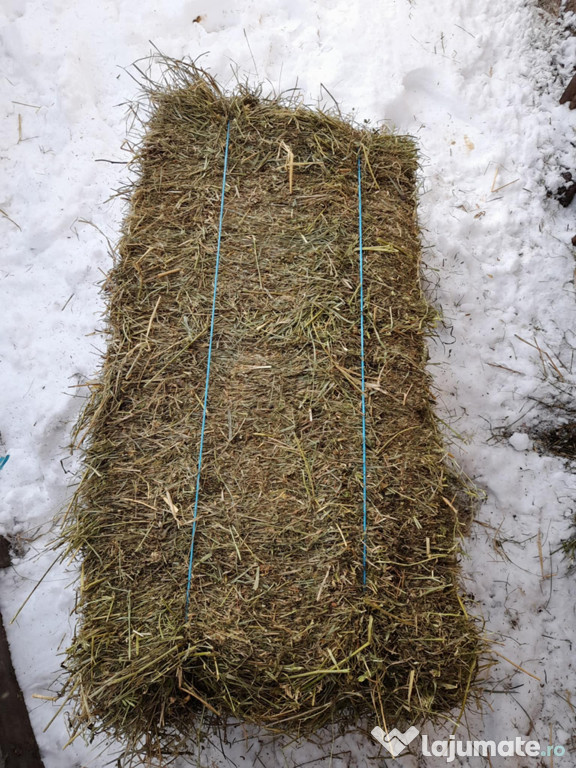 Baloți de lucernă coasa a doua