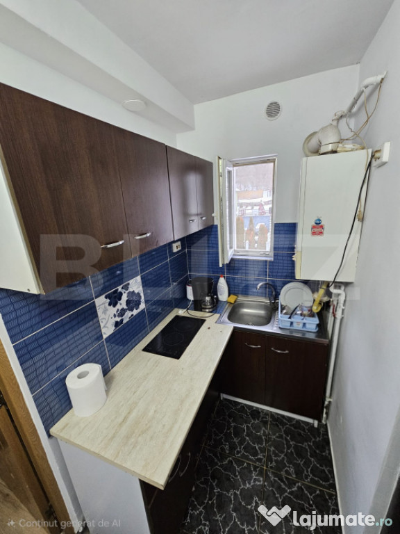 Apartament 1 camera, Etaj 3/4, Centrala Proprie