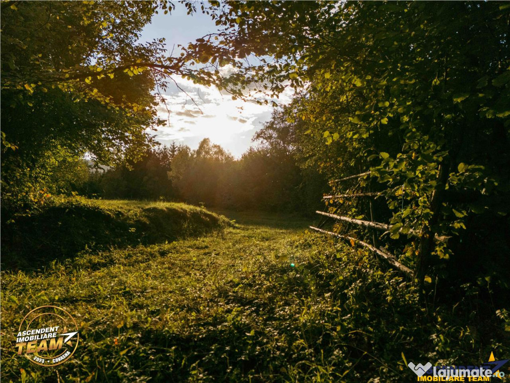 FILM! Teren extravilan, Ojdula, 4.800 mp, zona pitoreasca