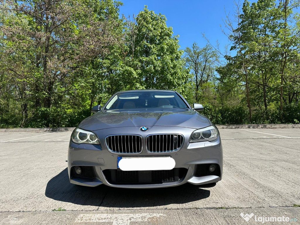BMW F10 525 Model Luxury