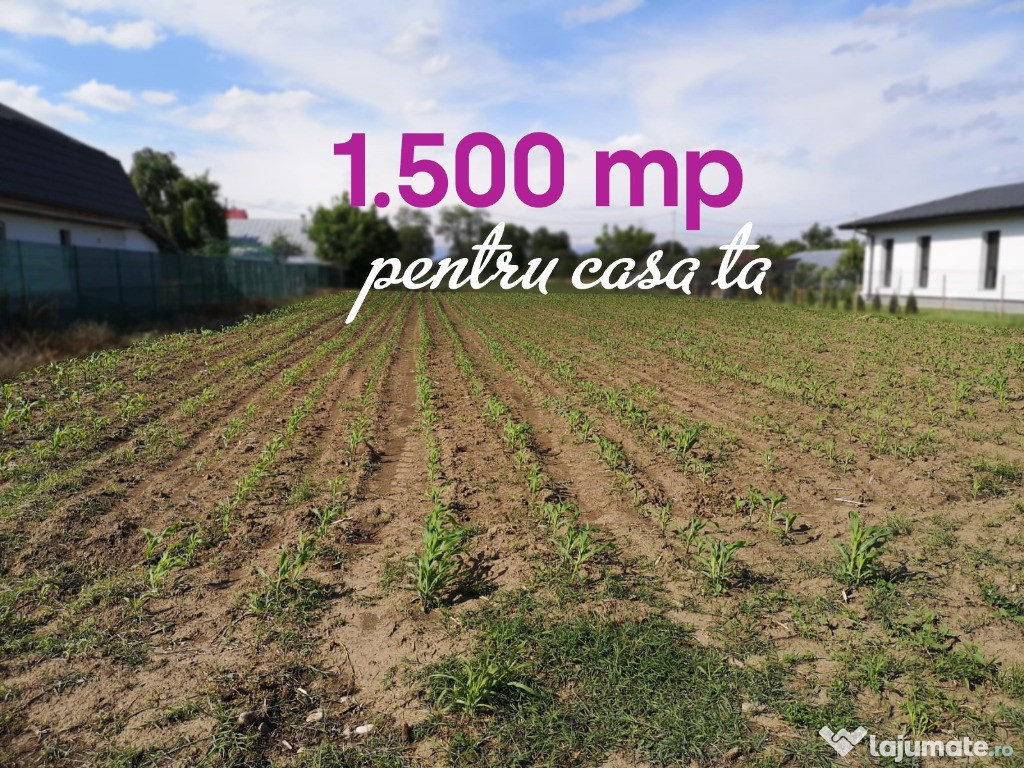 Teren de 1.500 mp pentru casa ta ????