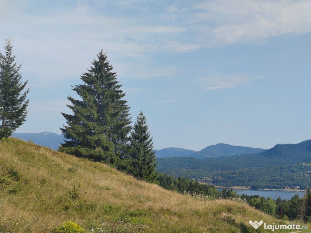 Teren Colibita - 2 hectare - acces direct din drumul 173 D