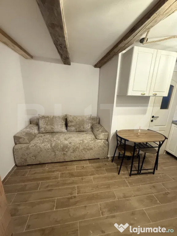 Garsonieră 15mp, prima închiriere, singur în curte cu ter