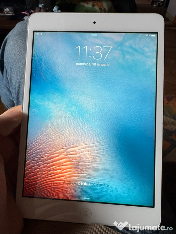 Ipad mini apple, A1432